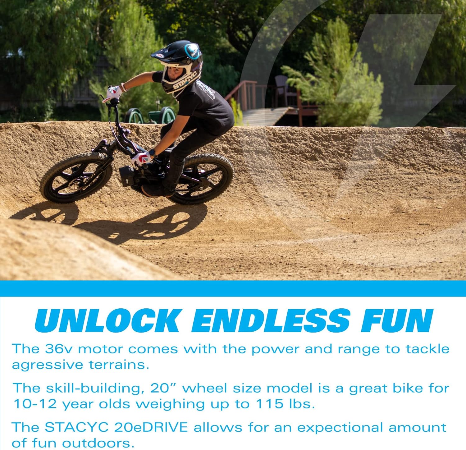 STACYC Brushless 20eDRIVE