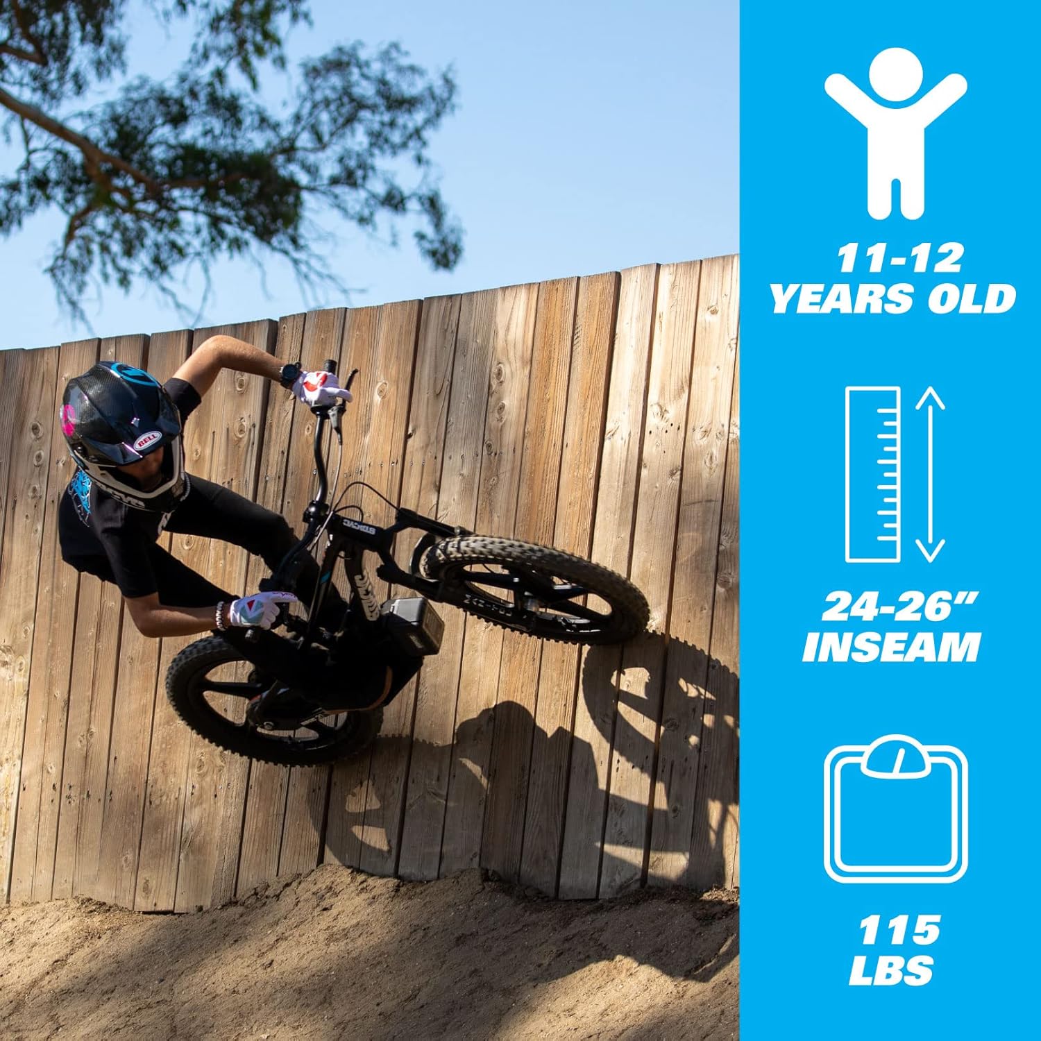 STACYC Brushless 20eDRIVE