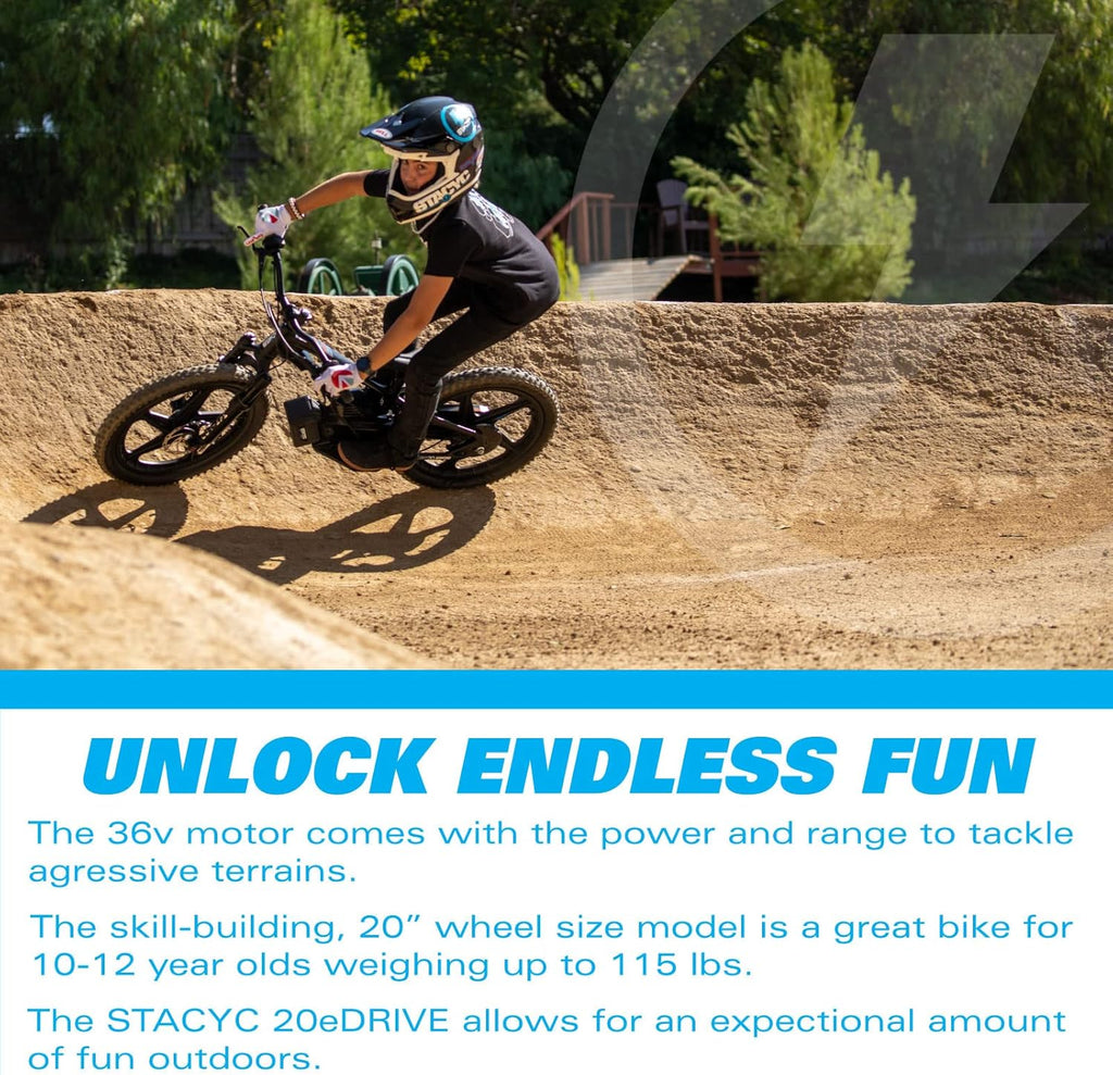 STACYC Brushless 20eDRIVE
