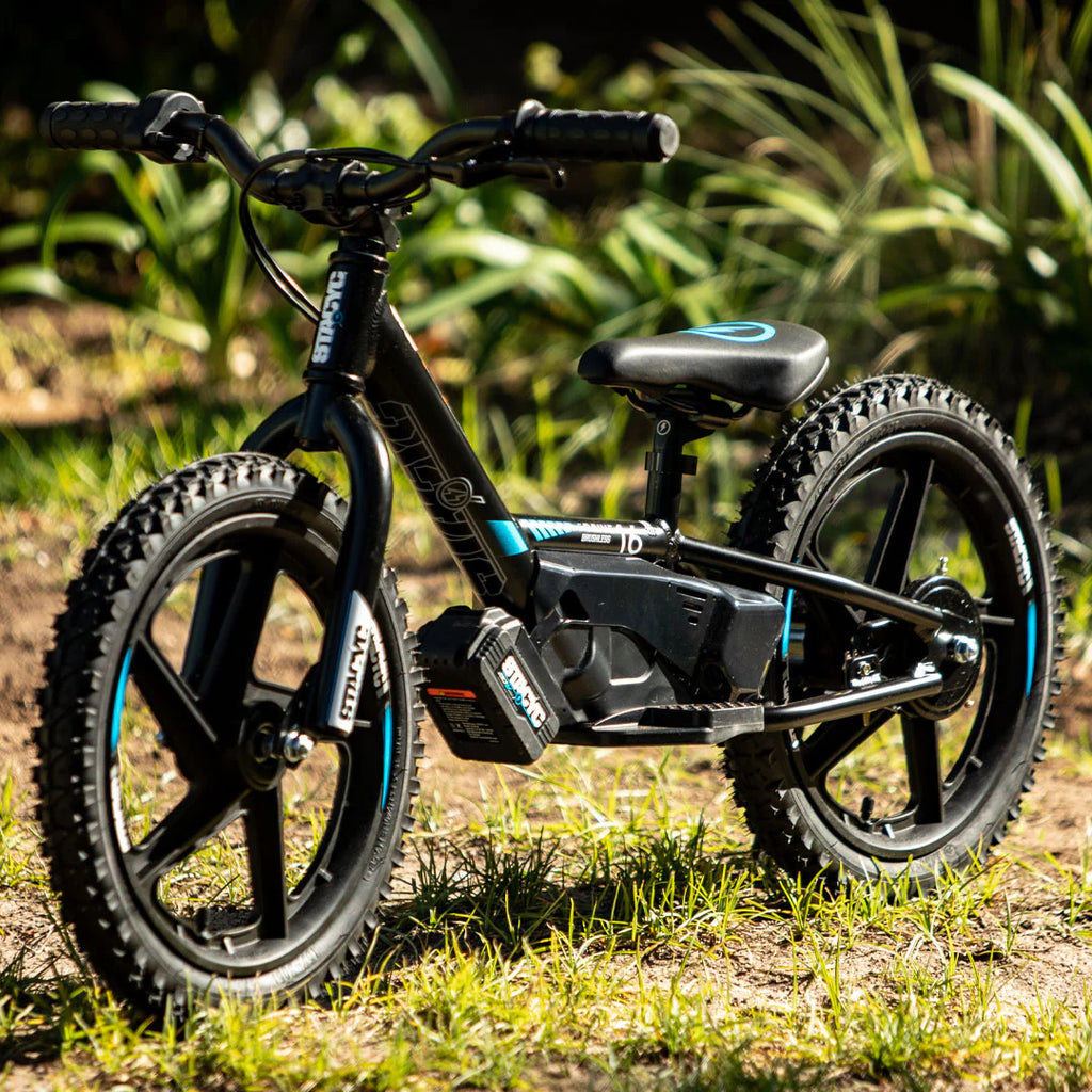 STACYC Brushless 20eDRIVE