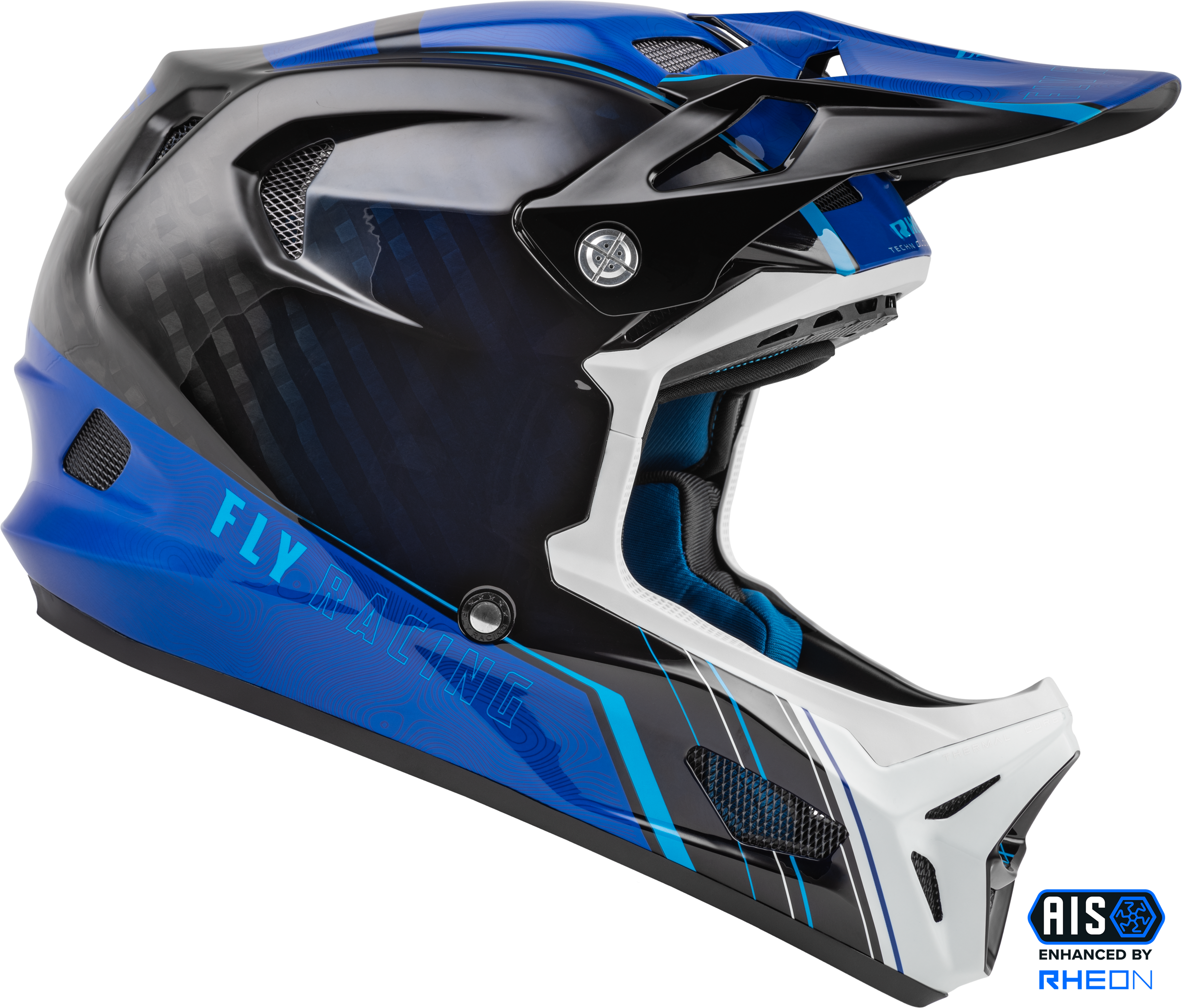 Fly Racing Youth Werx-R Helmet