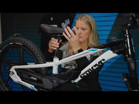 STACYC Brushless 20eDRIVE