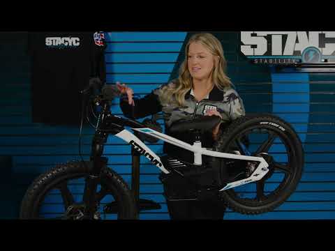 STACYC Brushless 20eDRIVE